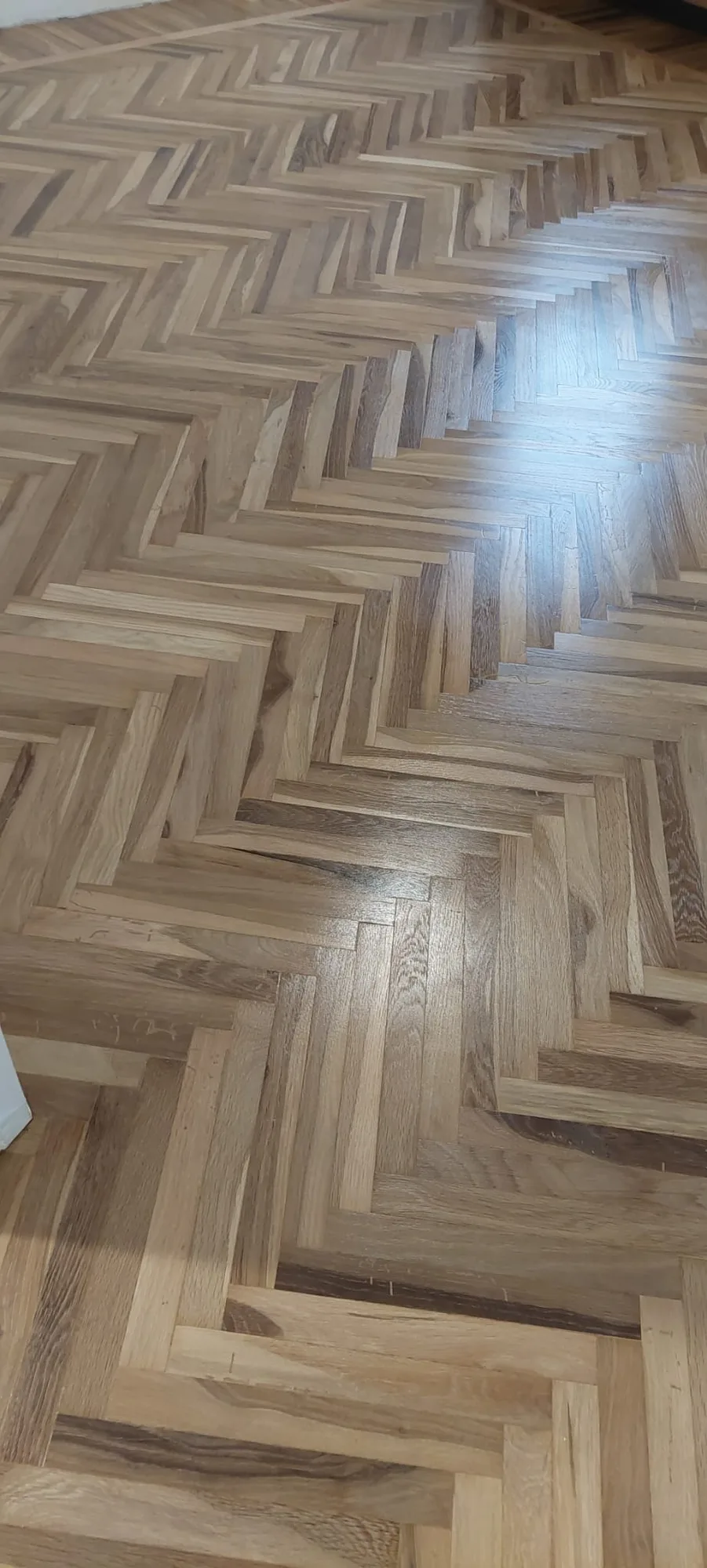 Lo stesso parquet a spina di pesce dopo levigatura e verniciatura, lucido e uniforme