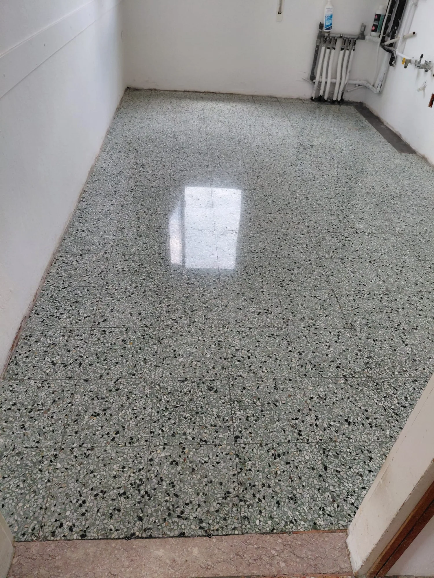 Graniglia verde lucidata a specchio, con la luce della finestra riflessa